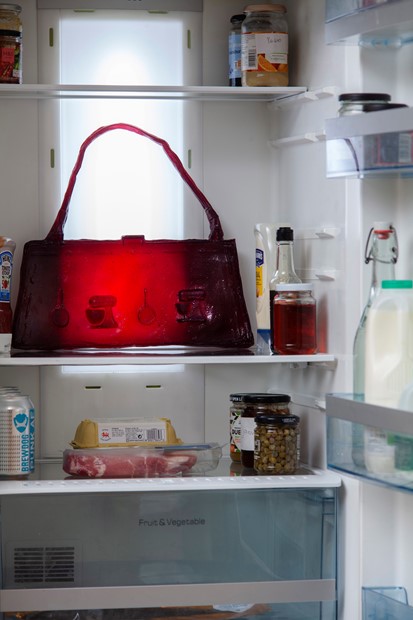 Domestic Handbag – fridge