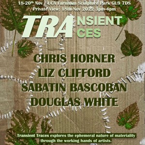 Transient Traces, by Liz Clifford