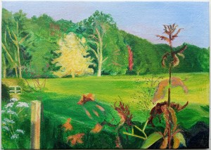 Field, Kirk Yetholm, by Carolyn Burchell