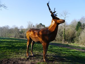 'Big Deer', by Andy Hazell