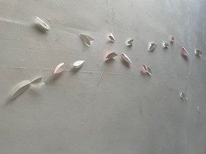 Movements in curves 'bleeding hearts', by Joanna Mowbray
