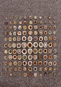 Pebble Shell, by Tim Pugh
