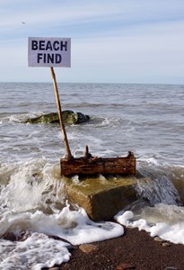 “Beach Find”, by Tim Pugh