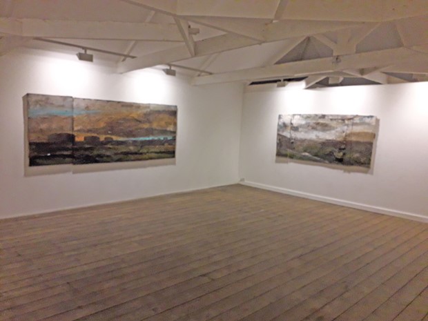 Exhibition at Anima Mundi,St Ives Last of the Silence extended to 12 December