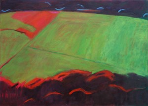Long Field, by Ursula Leach