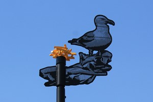 Horbury Gull, by Bruce Williams