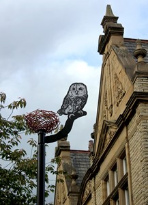 Horbury Owl, by Bruce Williams
