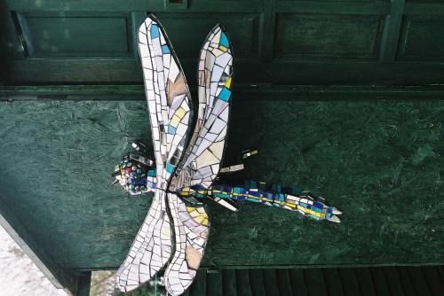 Giant Dragonfly for ITVs 'Art Attack' - Credit: Danny Manning