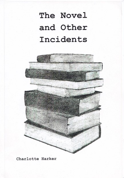 The Novel and other Incidents
