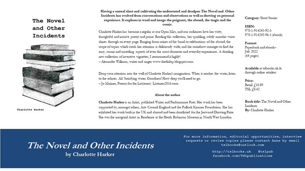 The Novel and Other Incidents