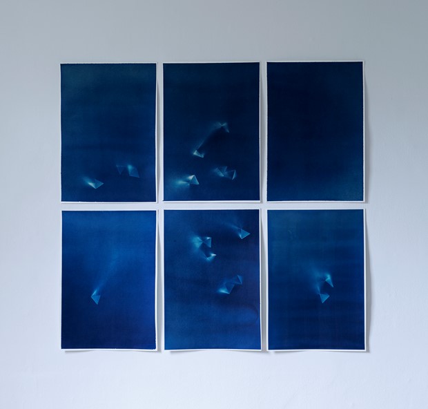 Out of the Shadows  A Cyanotype exploration – Alice Made This