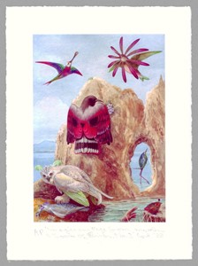imaginary page from a book of birds no.3, by Matthew Cort
