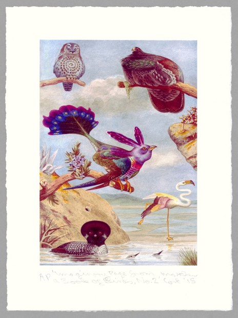 imaginary page from a book of birds no.2