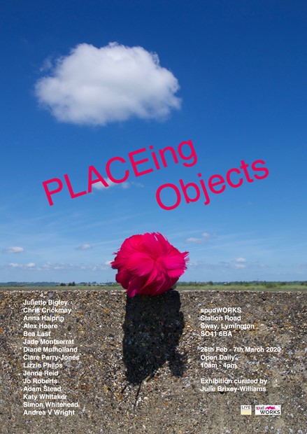 PLACEing Objects, by Julie Brixey-Williams