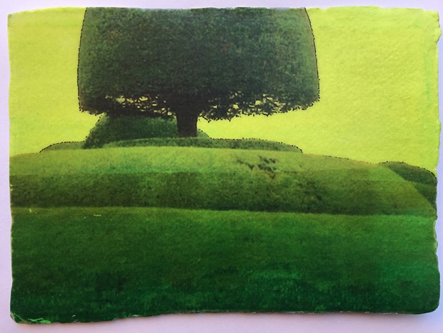 Year of the Print at Winterbourne House & Gardens, University of Birmingham, by Sharon Baker