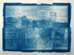 A Modern Picturesque - cyanotypes, by Wig Sayell
