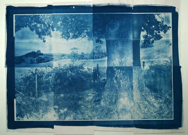 A Modern Picturesque - cyanotypes