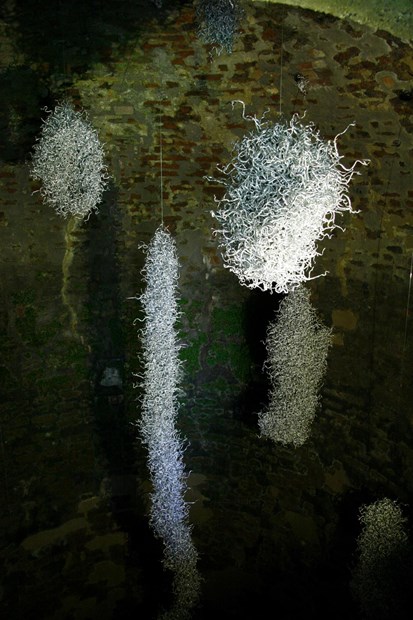 Anemones (Ocean Bloom) at Burghley House sculpture Garden. - Credit: Anthony Carr
