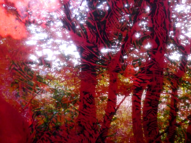 Red Earth (into the woods)