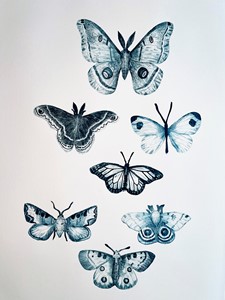 #100DaysOfTetrapakLepidoptera, by Caroline Rudge