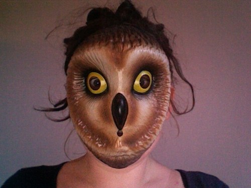 Owl face