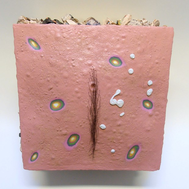 Mark Scott-Wood, Sebaceous Landscape with Ejaculatory Anhedonia (the evocation of a 12 inch box), 2014