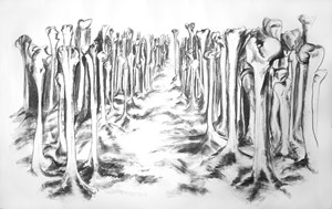 Bone Forest, by Jo Dacombe