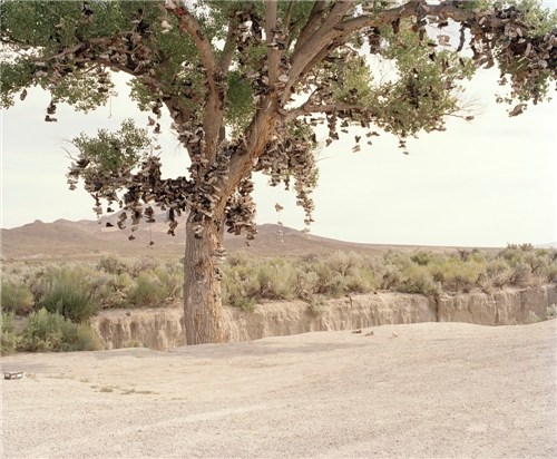 Shoe Tree, Middlegate