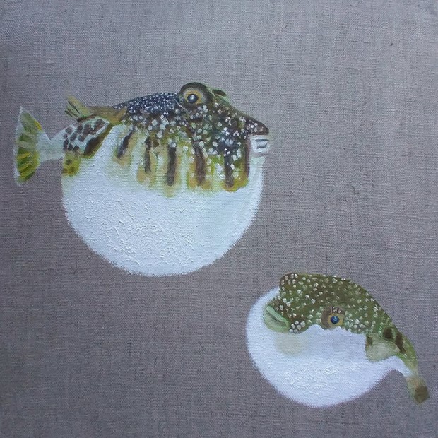 Japanese Fugu Blowfish