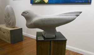 Hawk Roosting, by Sam Bell