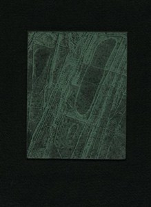 Microscopic Series 1 green, by Melissa Atkinson