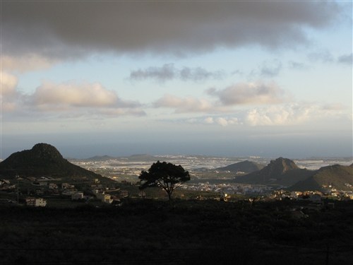 Arona,Tenerife