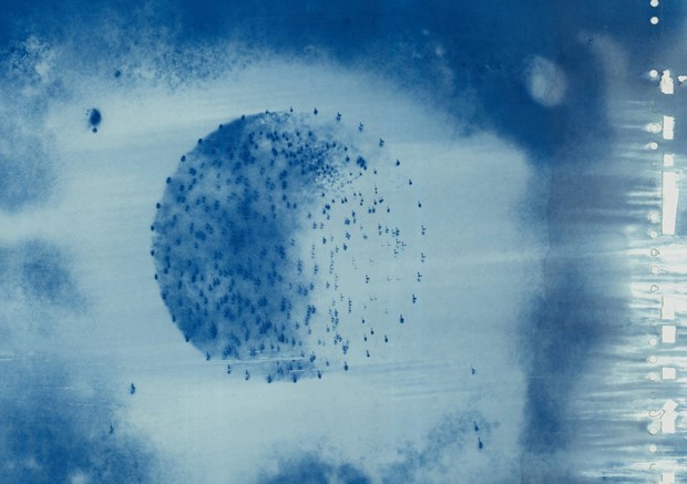 Biosphere : Sun Drawing/Cyanotype