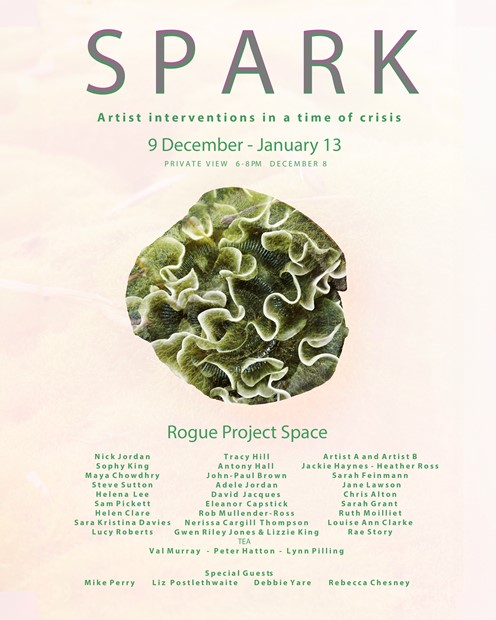 SPARK: Artist Interventions in a Time of Crisis