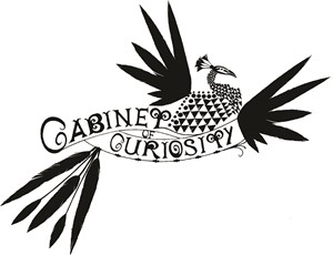 Cabinet of Curiosity Studio