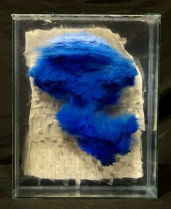 Firelegs Blue, by Arron Kuiper