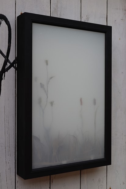Window Box II