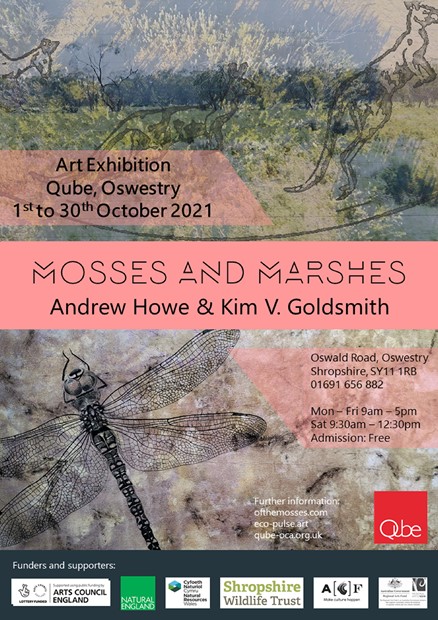 Mosses and Marshes exhibition, by Andrew Howe