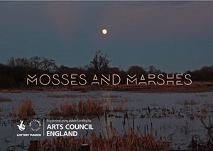 Mosses and Marshes, by Andrew Howe