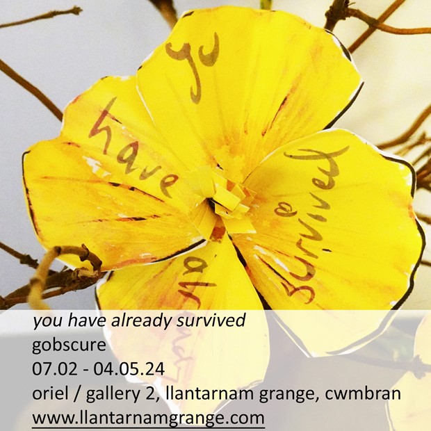 you have already survived exhibition open