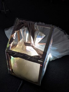 Illuminated Boxed Bride, by Sarah Jeffries