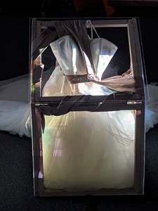 Illuminated Boxed Bride, by Sarah Jeffries