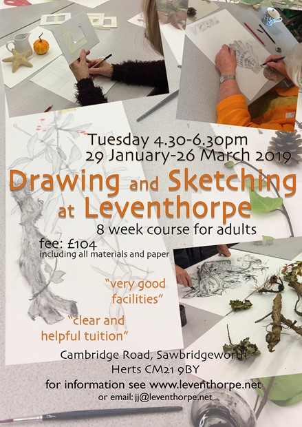 Drawing and Sketching Course, by Julie Arnall