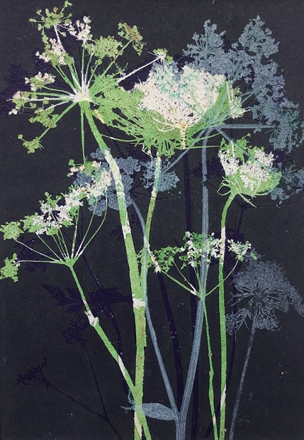 Queen Anne's Lace Suite | Julie Arnall | Axisweb: Contemporary Art UK ...