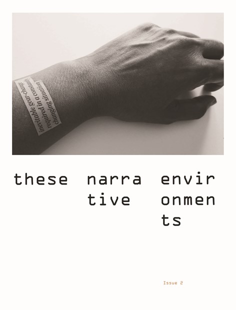 These Narrative Environments Issue 2