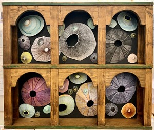 Cabinet of Limpet Curiosities, by Helen Garbett